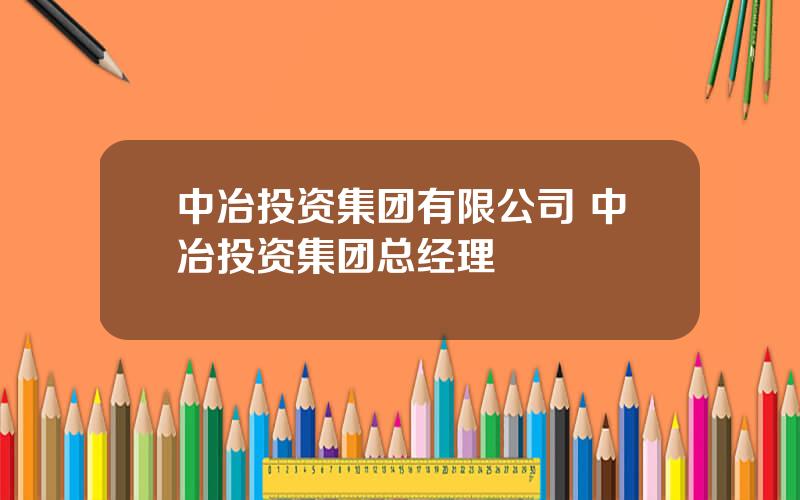 中冶投资集团有限公司 中冶投资集团总经理